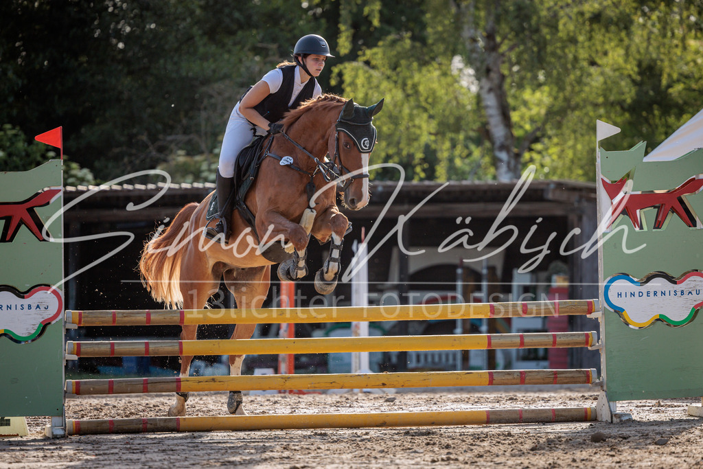 20260529-_3LI0587 | Tierfotografie Pferde, Hunde, Katzen, Haustiere.
Turnierfotografie Reitturniere, Reiten, Springreiten, Dressur in Hanau, dem Main-Kinzig-Kreis und dem Rhein-Main- Gebiet um Frankfurt
