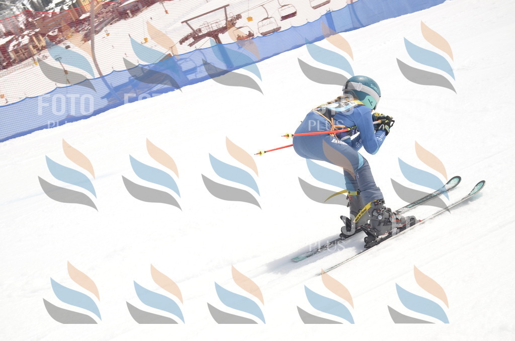 _ELE8825 | holidayphoto