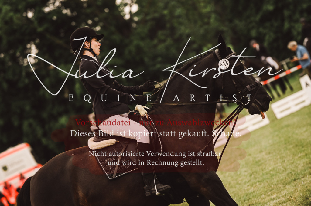 DSC_5003 | Pferde- und Turnierfotografie in Westsachsen. Pferdeportraits, Auftragszeichnungen und intuitive Kunst.