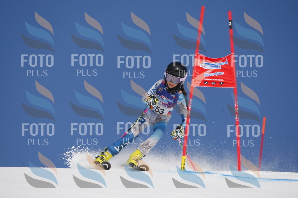 _W1G0781 | holidayphoto