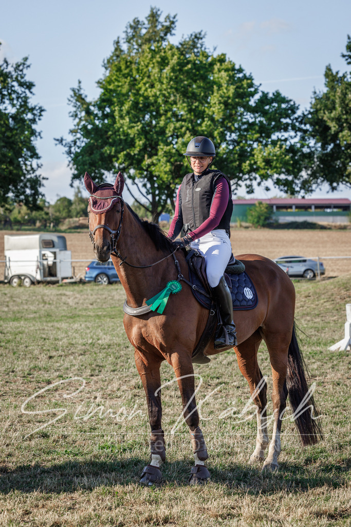 20260905-_3LI0990 | Tierfotografie Pferde, Hunde, Katzen, Haustiere.
Turnierfotografie Reitturniere, Reiten, Springreiten, Dressur in Hanau, dem Main-Kinzig-Kreis und dem Rhein-Main- Gebiet um Frankfurt