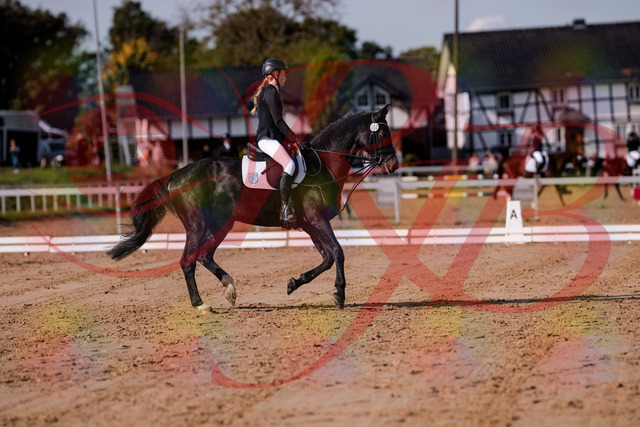 2026_10_03_Siefer-Hof_115614_Z81_96431785 | Professionelle Reitsport-, Turnier- und Eventfotografie von Robert Broda. Galerien mit ausgewählten und bearbeiteten Bildern direkt online ansehen und bestellen.