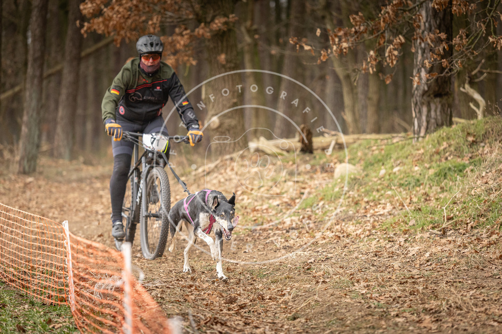 Pfotenfotografie_DV3A3472 | Hundefotografie, Tierfotograf, Pfotenfotografie, Fotoshooting Hund, Hunde Portrait, Hundesport, Hundeportraits, Heideshooting, Hunde, Sportfotograf, Hundefotograf, Turnierhundsport, THS,  - Realisiert mit Pictrs.com