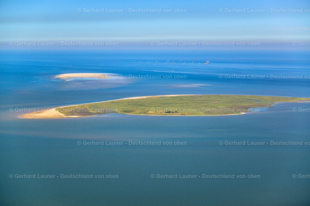 3621962 | Vogelschutzgebiet Mellum u. Jadebusen