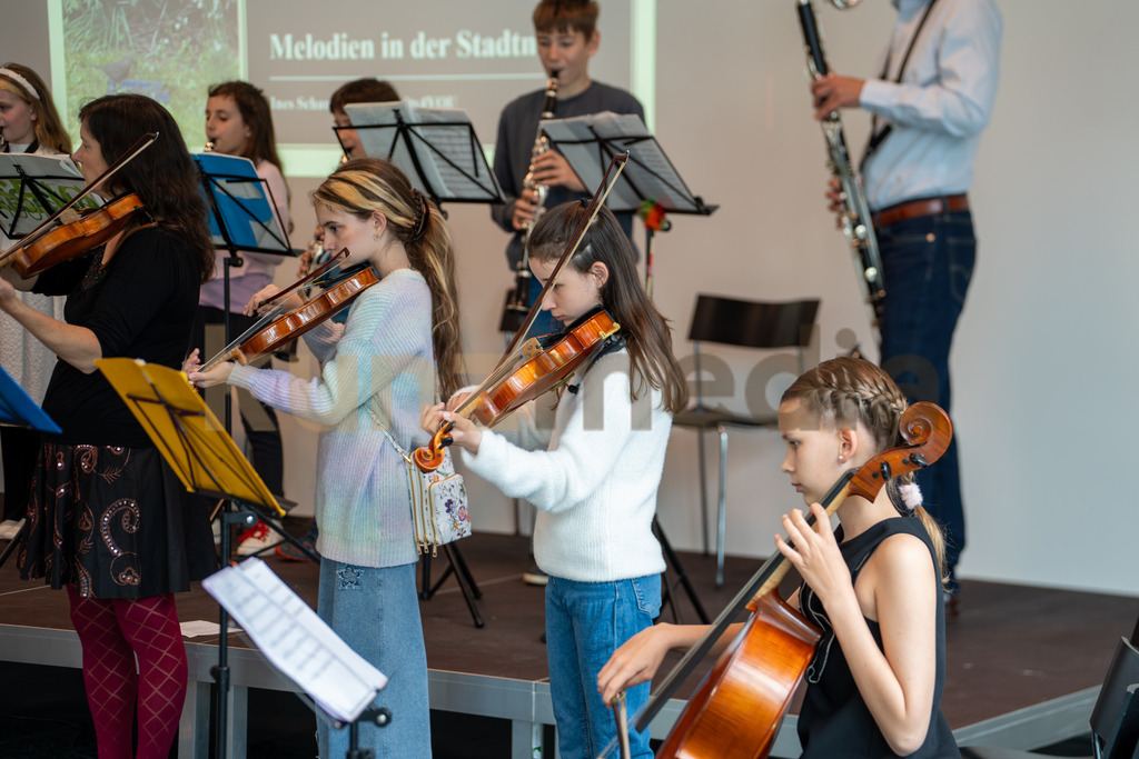 30_Melodien in der Stadtnatur_kunzmedia.ch | OnlineShop für Bilder kunzmedia.ch