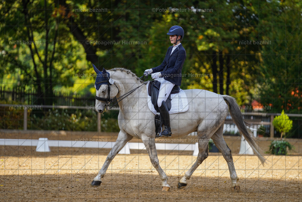 20221007-FAH00045 | Diessen am Ammersee, 2022, Dressur- und Springturnier, Reitsportbilder, Turnierfotografen Bayern, Pferdefotografen, Fotoagentur Herrmann, Turnierbilder