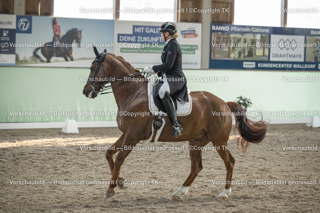 _D5A0603 | Emotionale Pferde- & People-Fotografie rund um Heidelberg, Leimen & Umgebung. Natürliche Fotos von Pferd, Mensch & Familie. Jetzt Termin sichern!