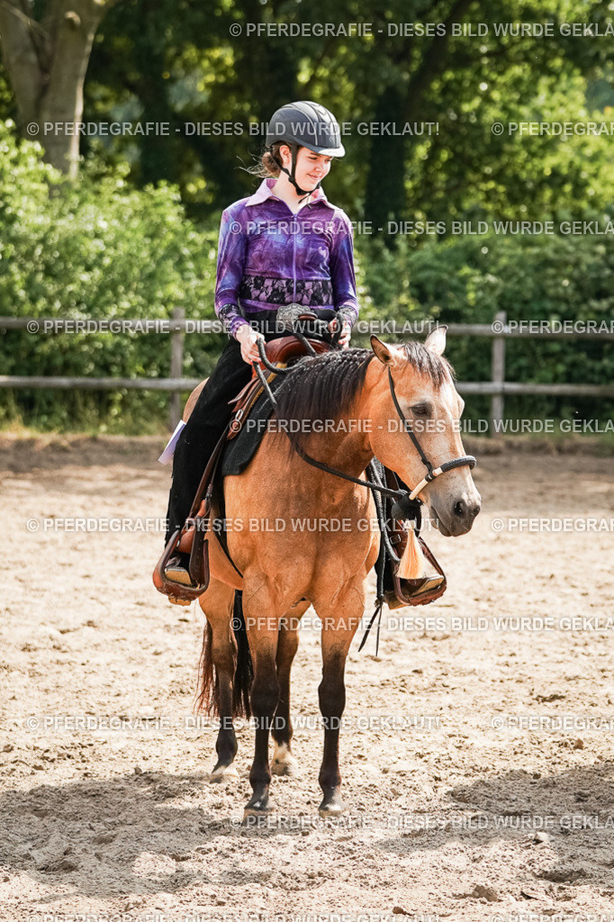 DSC05066 | Pferdegrafie