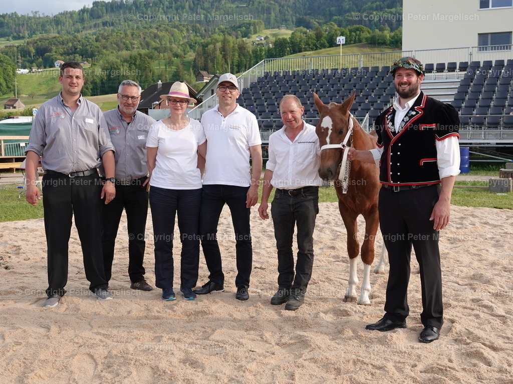 DSC06996 | Schwingen - Realisiert mit Pictrs.com