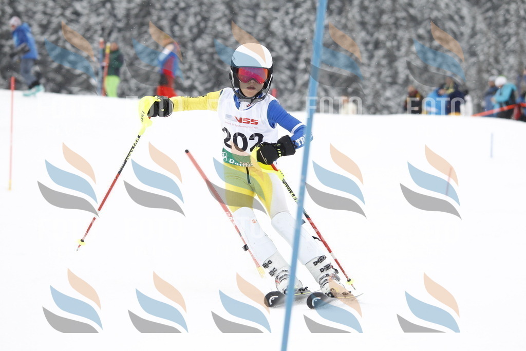 A1982 | holidayphoto