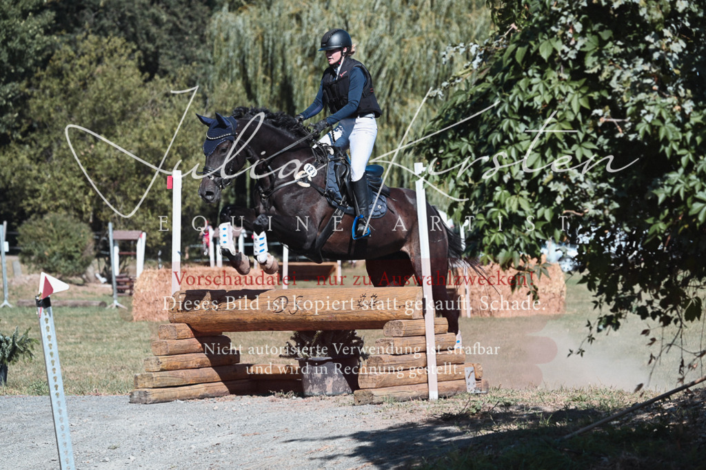 DSC_8584 | Pferde- und Turnierfotografie in Westsachsen. Pferdeportraits, Auftragszeichnungen und intuitive Kunst.