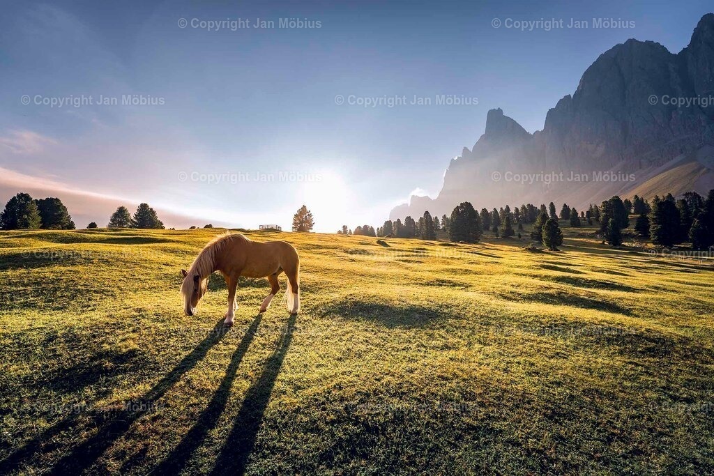 _DSC1577 | Leipzig Wandbilder Drucke Prints Leinwand Stadtmotive Leipzig Fotosdruck Kunstdrucke Bilder Leipzig Stadtansichten Acrylglasbilder Leipzig Wanddeko Fine Art Prints Wandbilder Büro Leipzig Bilder Praxis Zuhause Bilderdruck Poster Posterlounge Kunstdrucke - Realisiert mit Pictrs.com