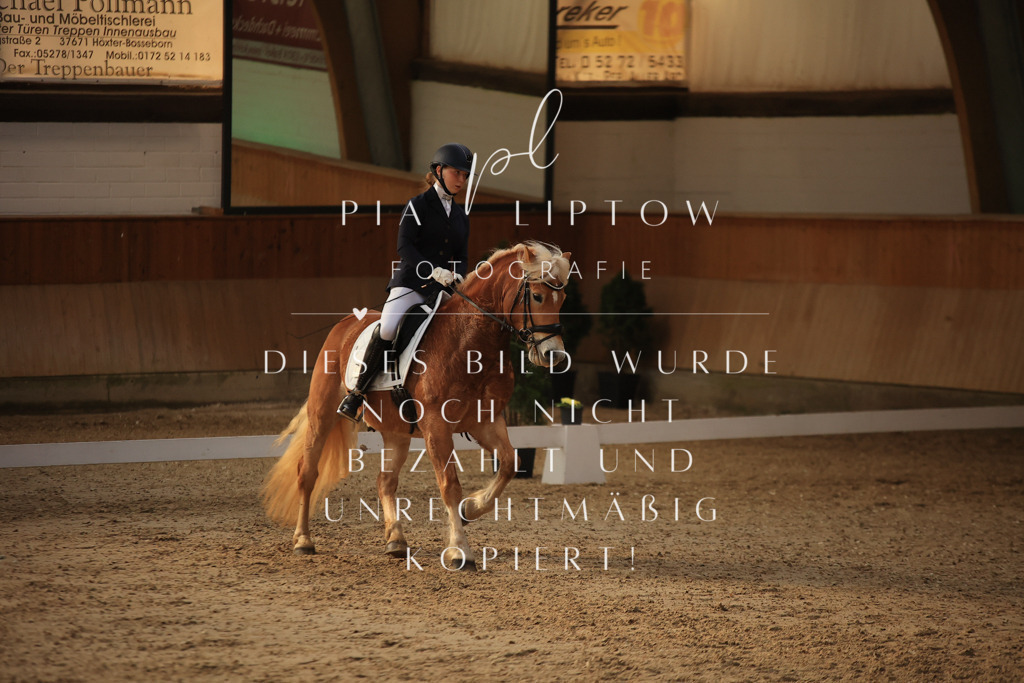 IMGT2152 | pl-fotografie