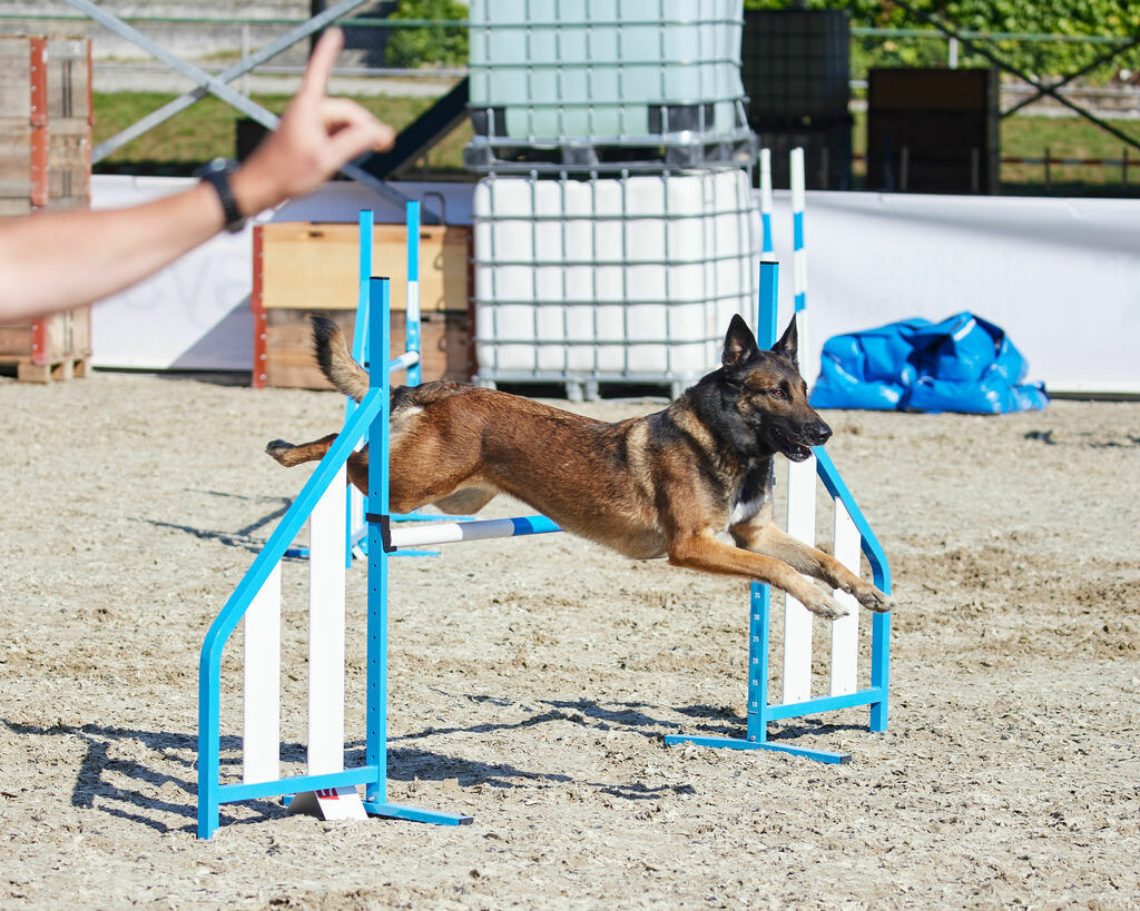 580A0164 | Peter Fridle Fotografie - Realisiert mit Pictrs.com