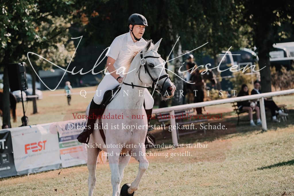 DSC_4560 | Pferde- und Turnierfotografie in Westsachsen. Pferdeportraits, Auftragszeichnungen und intuitive Kunst.