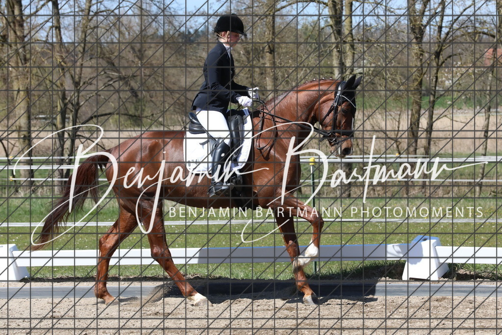 AZ2A4287 | Benjamin Bartmann Photomoments