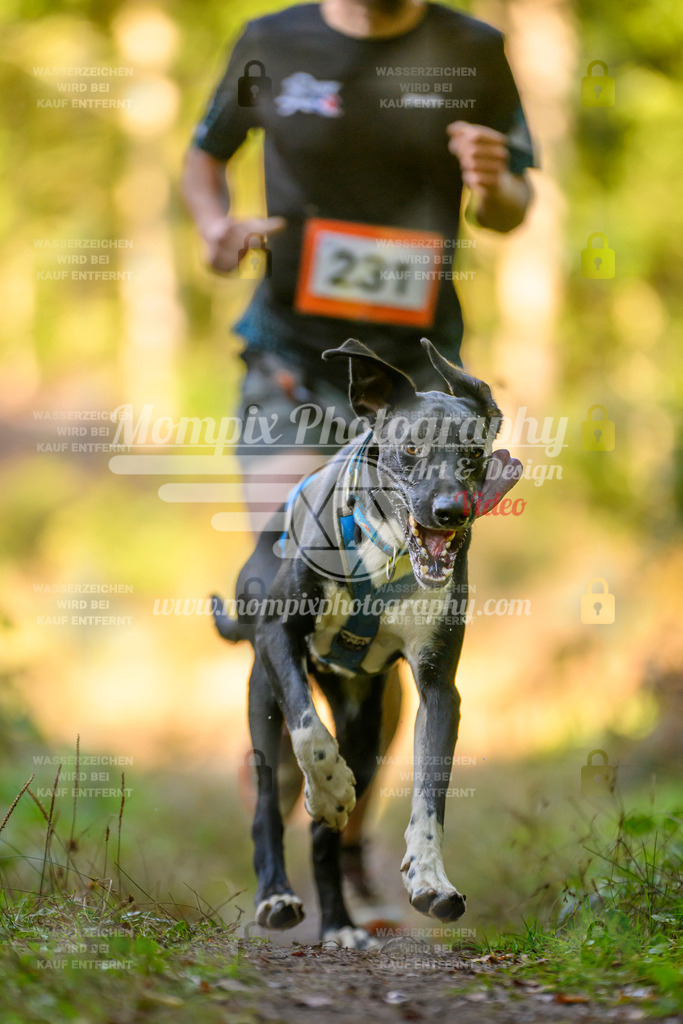 MompixPhotography_Yens2025_B3-160 | PayLife