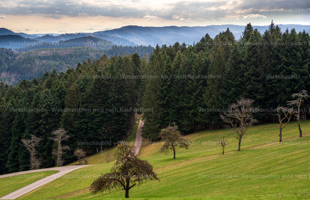 Mittlerer Schwarzwald | mit etwas Nebel in den Hochlagen - Realisiert mit Pictrs.com