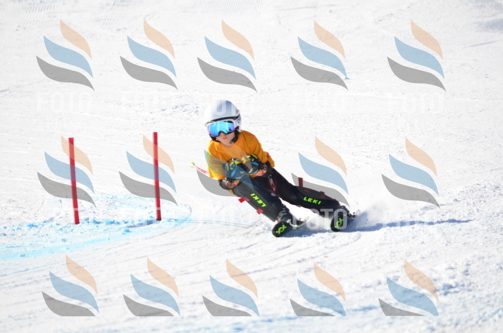 C6280 | holidayphoto