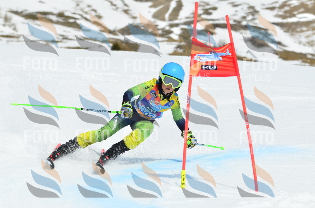 _ELE2233 | holidayphoto