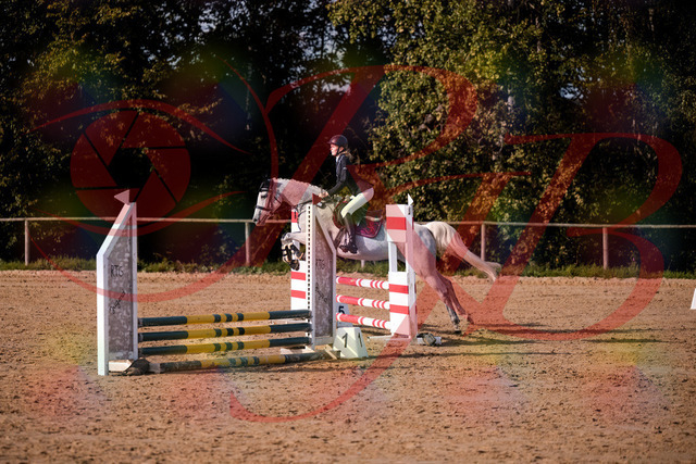 2026_10_03_Siefer-Hof_155148_Z81_71071173 | Professionelle Reitsport-, Turnier- und Eventfotografie von Robert Broda. Galerien mit ausgewählten und bearbeiteten Bildern direkt online ansehen und bestellen.
