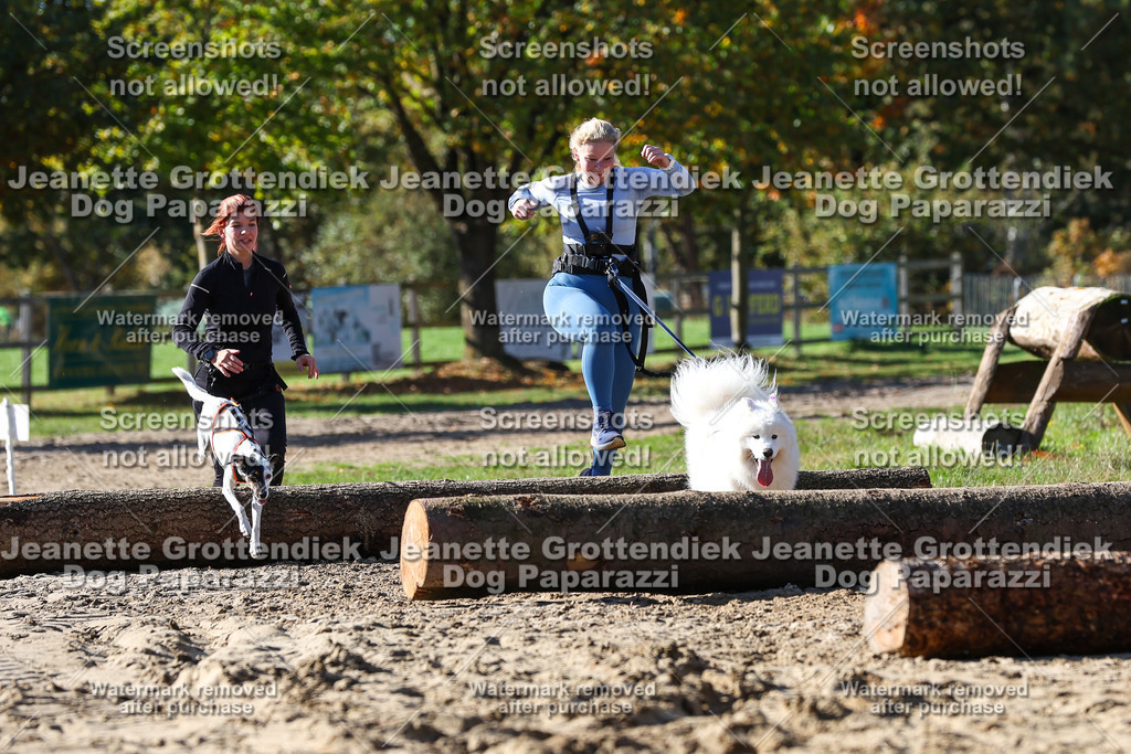 Dog Paparazzi - Strongdog 10-25-2956 | Dog Paparazzi Jeanette Grottendiek Fotografie & Videografie - Realisiert mit Pictrs.com