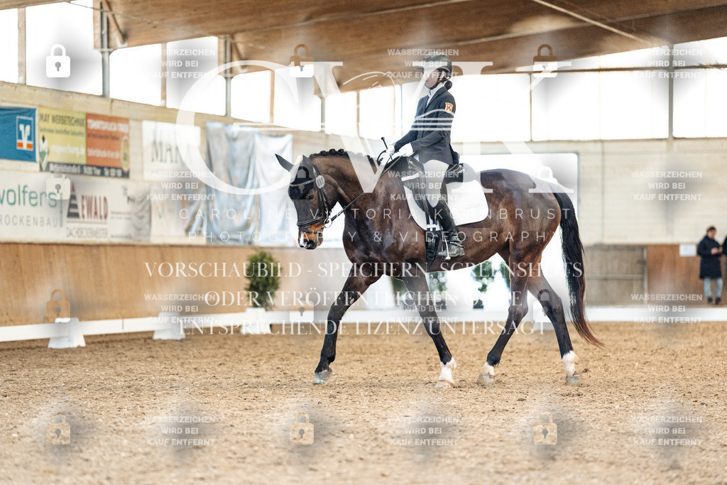 CK909915 | Turnierfotografie Pferdefotografie Trier Rheinland-Pfalz Pferdesport Reitsport Tierfotografie Sportfotografie Pferdevideo Pferdevideografie Equestrianvideography equestrianphotography  - Realisiert mit Pictrs.com