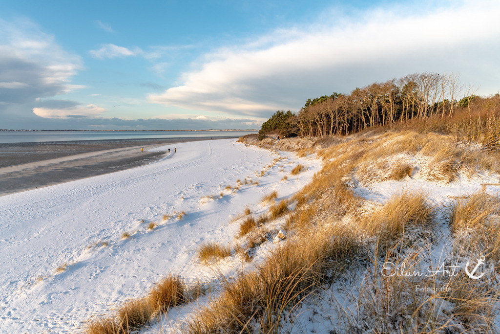 20260103-EAF_8085-2 | Eilun-Art-Fotografie Levke Martens, ihre Fotografin für Immobilien- und Landschaftsfotografie auf Föhr, Föhrer Motive als Poster, Leinwand, hinter Acrylglas oder stelle dir deinen eigenen Monatskalender zusammen, mit nur einem Klick