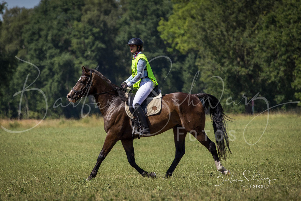 CJP_2026-06-26_133 | Stimmungsvolle Fotografie von Pferden, fotografische Begleitung von Veranstaltungen, Golfturnieren und Distanzritten - Realisiert mit Pictrs.com