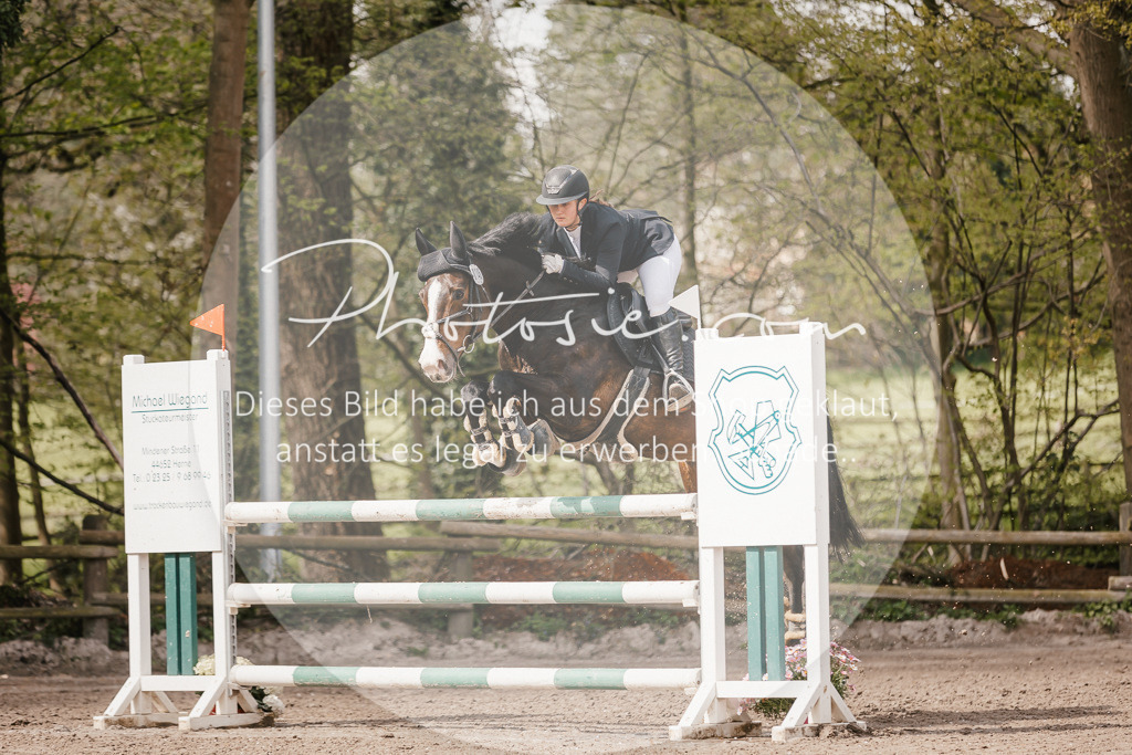3I6A4364 | Stimmungsvolle Portraits und Reitsportfotografie im Ruhrgebiet und im Münsterland.

Pferdefotografie, Hundefotografie, Tierfotografie, Reportagen, Portraits von Tier und Mensch, Turnierfotografie in Bochum, Recklinghausen, Marl, Haltern am See, Dülmen.. - Realisiert mit Pictrs.com