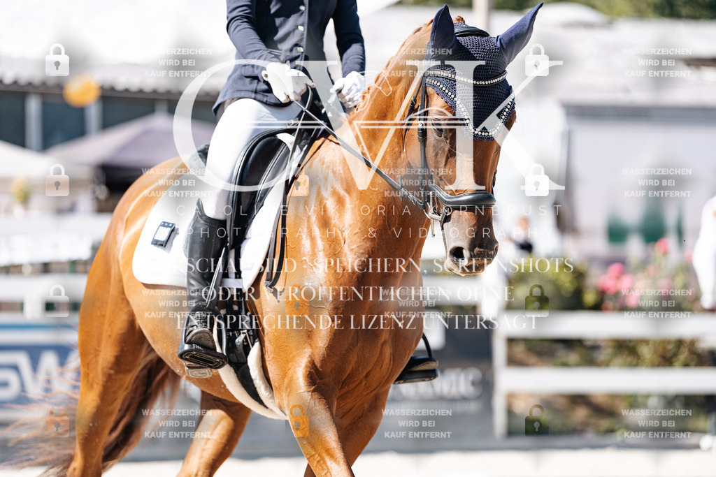 CK909620 | Turnierfotografie Pferdefotografie Trier Rheinland-Pfalz Pferdesport Reitsport Tierfotografie Sportfotografie Pferdevideo Pferdevideografie Equestrianvideography equestrianphotography  - Realisiert mit Pictrs.com