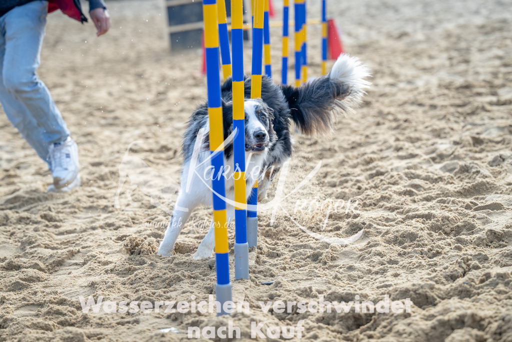 0958_ZZ93218 | kk-dogfotos