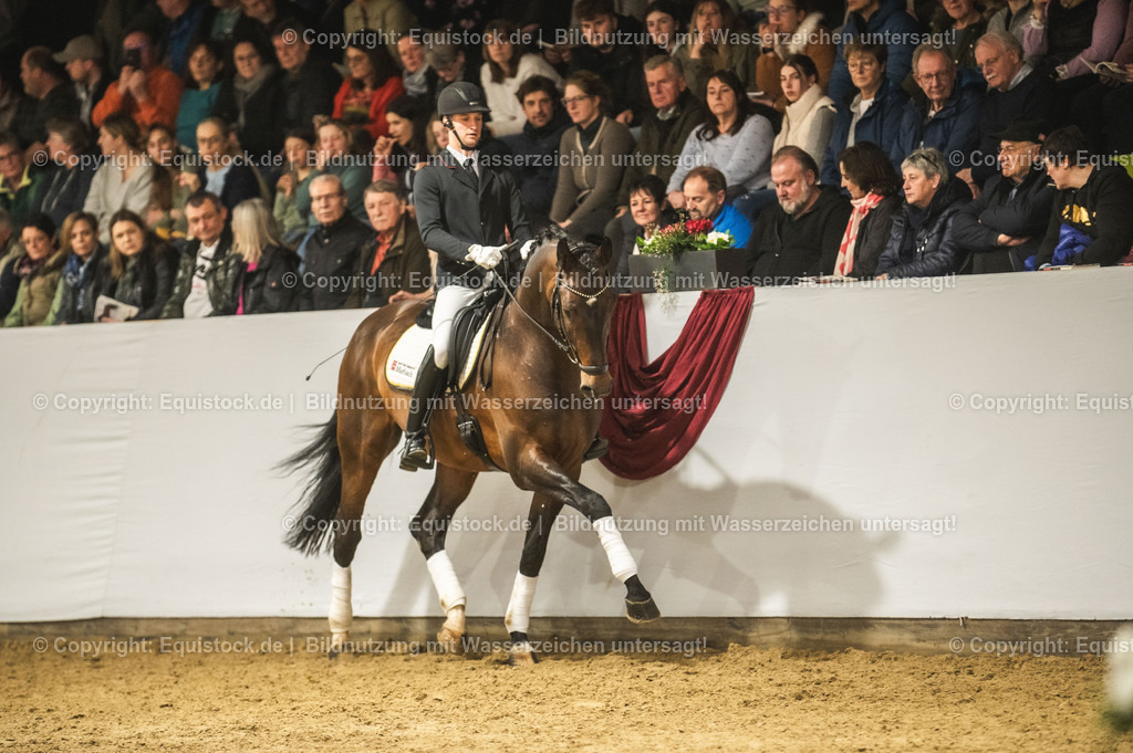 20240302_Hengstvorstellung_Marbach_TOMsPiC_1199-2 | equistock