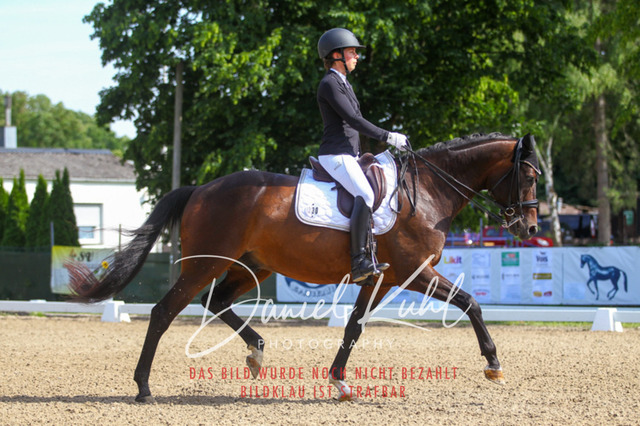 DKP41125 | Turniersportfotografie; Pferdefotografie; Dressurfotografie