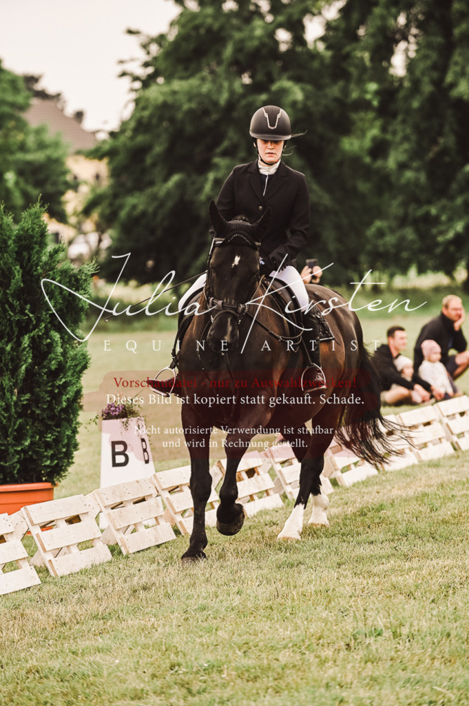 DSC_5094 | Pferde- und Turnierfotografie in Westsachsen. Pferdeportraits, Auftragszeichnungen und intuitive Kunst.