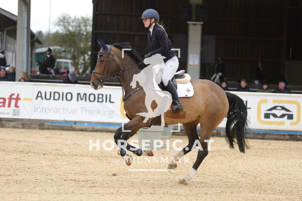 0P6A2810 | Willkommen bei Brunnmayr - Design & Fotografie – Ihrem Spezialisten für Reitturniere und Pferdeveranstaltungen in Oberösterreich, Salzburg und Bayern! Seit über 17 Jahren sind wir leidenschaftlich dabei.