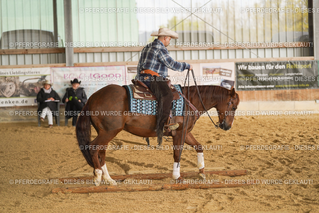 DSC01658 | Pferdegrafie