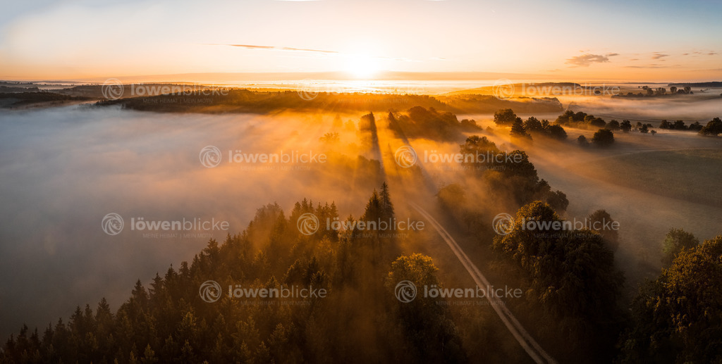 Ostalb bei Altheim im Nebel | löwenblicke | shop