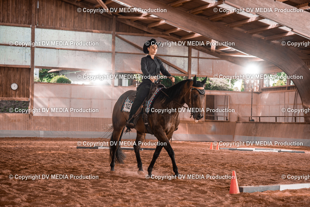 NE200228 | dv-media-shop - Realisiert mit Pictrs.com