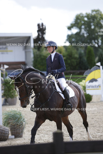 1J2A8284Laura Aromaa_ Medusa T_ Kn714_ Havekost | Foto- und Videografie für alles rund ums Pferd. Hochwertige Bilder und Videos vom Spring- und Dressurreiten, Voltigieren & mehr. Jetzt aktuelle Veranstaltungen und Preise im Shop ansehen. - Realisiert mit Pictrs.com