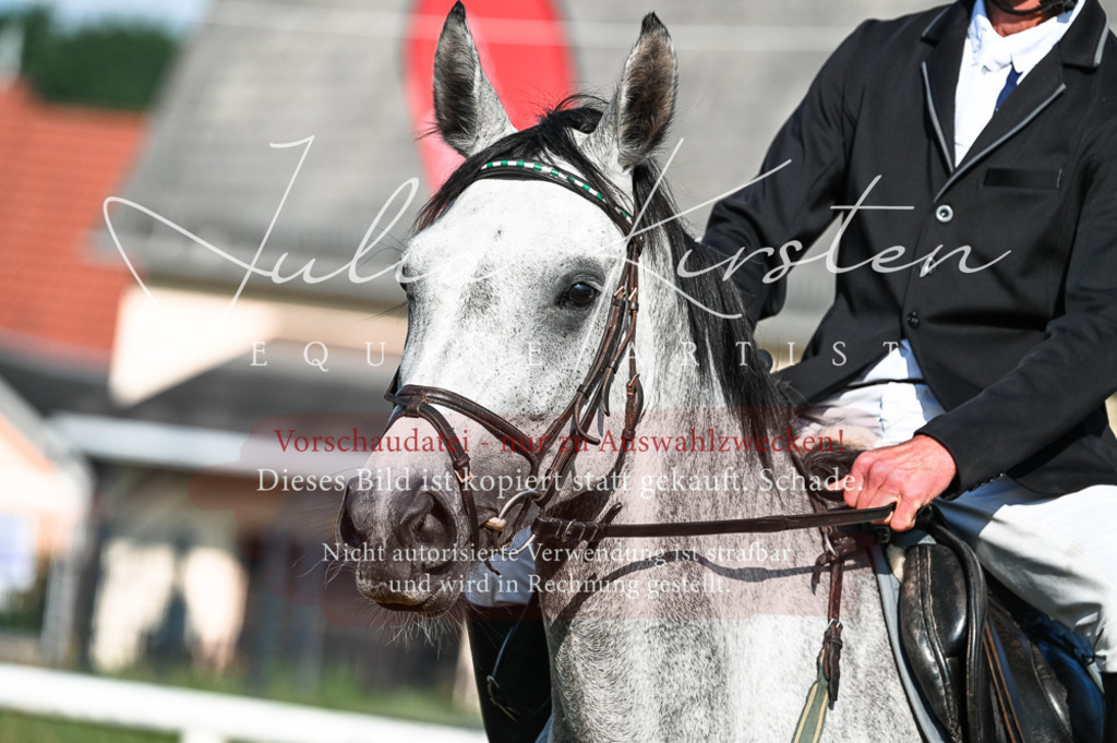 DSC_7487 | Pferde- und Turnierfotografie in Westsachsen. Pferdeportraits, Auftragszeichnungen und intuitive Kunst.