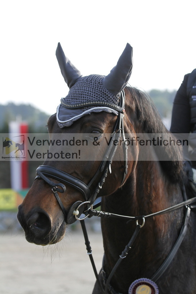 _MG_8831 | equestrian-live-com