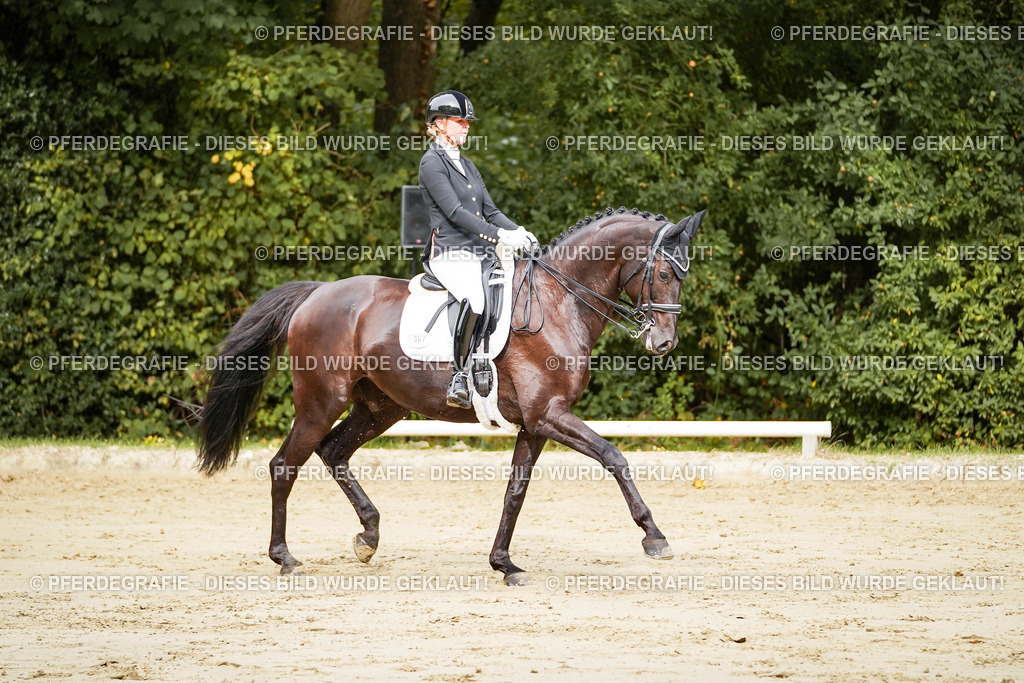 DSC02201 | Pferdegrafie