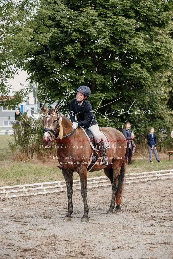 DSC_9342 | Pferde- und Turnierfotografie in Westsachsen. Pferdeportraits, Auftragszeichnungen und intuitive Kunst.