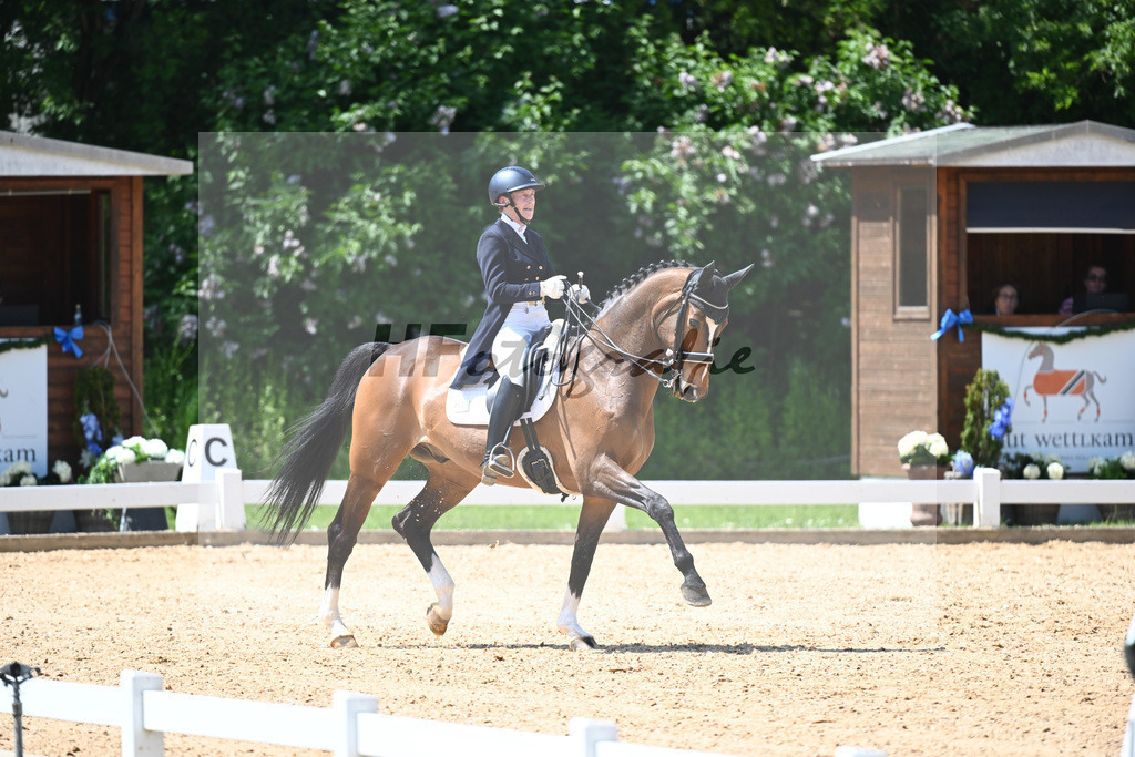 Bechtold_Fillmore DVB_12243860 | hf-fotografie - Realisiert mit Pictrs.com