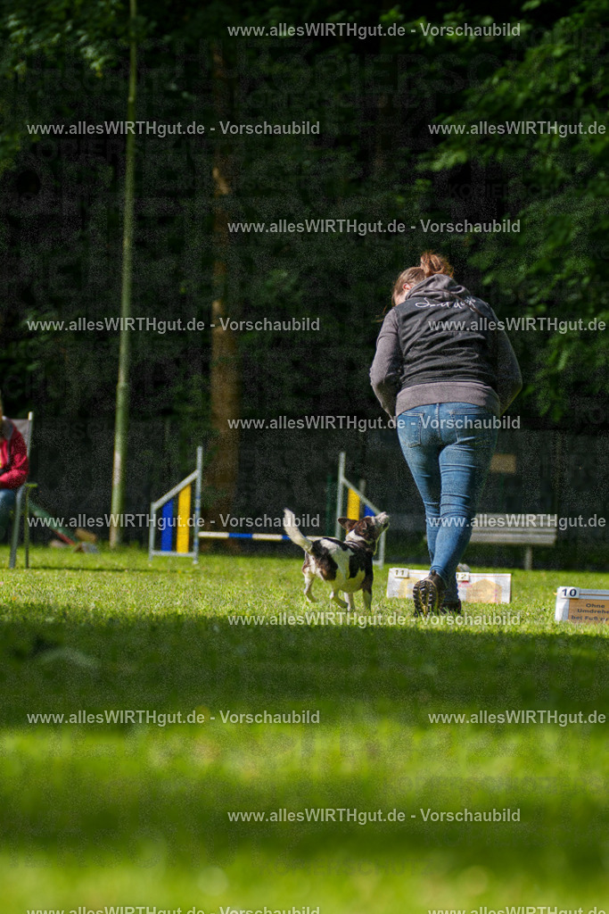 @allesWIRTHgut_Tierfotografie - www.allesWIRTHgut.de - 083111-7R506285 | Professionelle Tierfotografie in Mönchengladbach von Daniel Wirth (allesWIRTHgut). Liebevolle & natürliche Bilder von Hunden & Katzen für unvergessliche Erinnerungen.