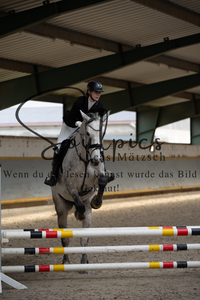 A7V04027 | Pferdefotograf