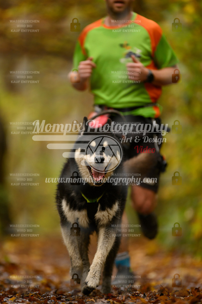 MompixPhotography_CD7S_DI_CCL-106 | mompixphotography