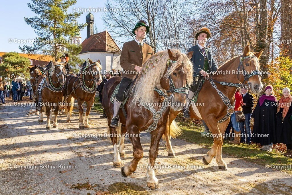 LBT25-1378 | foto-bettina-krinner - Realisiert mit Pictrs.com