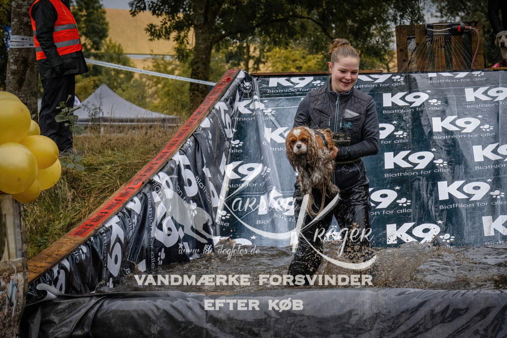 1248_ZZ90527 | kk-dogfotos